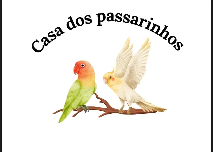 Casa Dos Passarinho\'S , Lagos